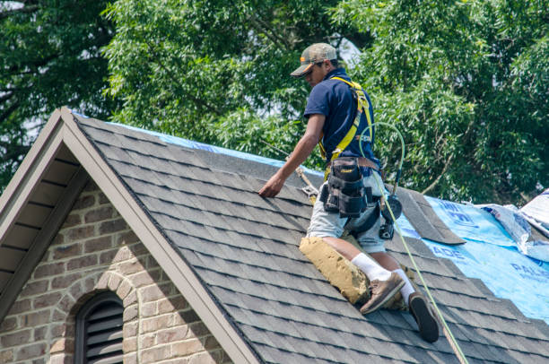 Quick and Trustworthy Emergency Roof Repair Services in Kenyon, MN